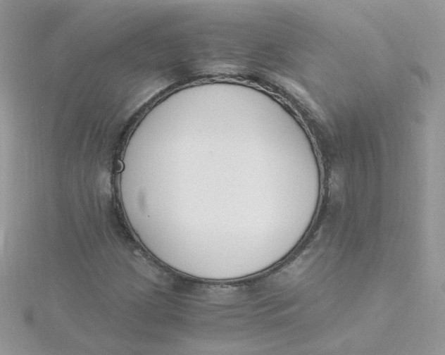 X0000115481209200911271321