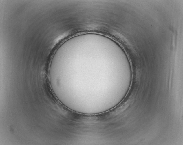 X0000115481210200911271321