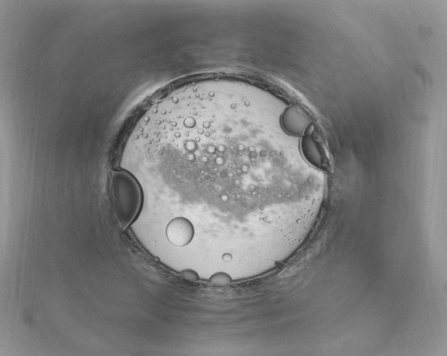 X0000115481215200911271321