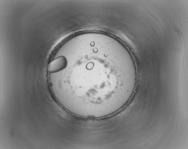 X0000115481216200911271321