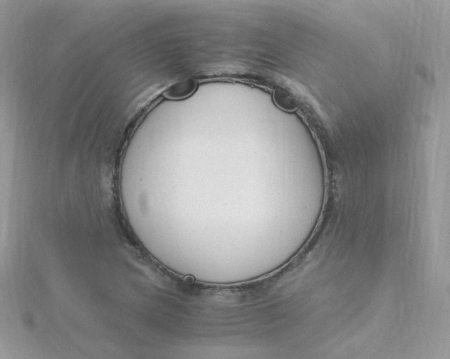 X0000115481217200911271321