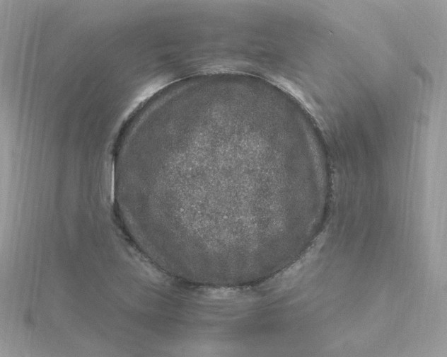 X0000115481219200911271321