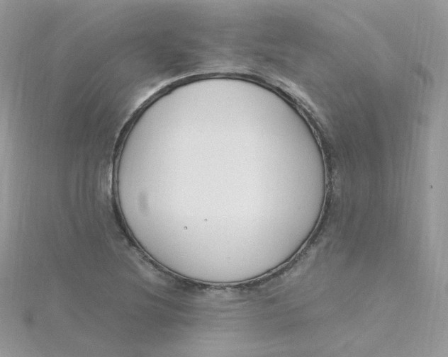 X0000115481220200911271321