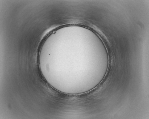 X0000115481222200911271321