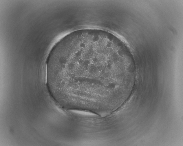 X0000115481223200911271321