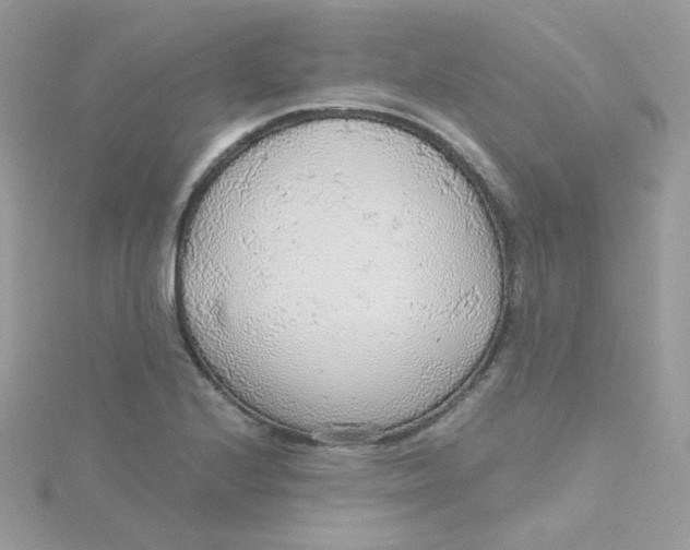 X0000115481224200911271321