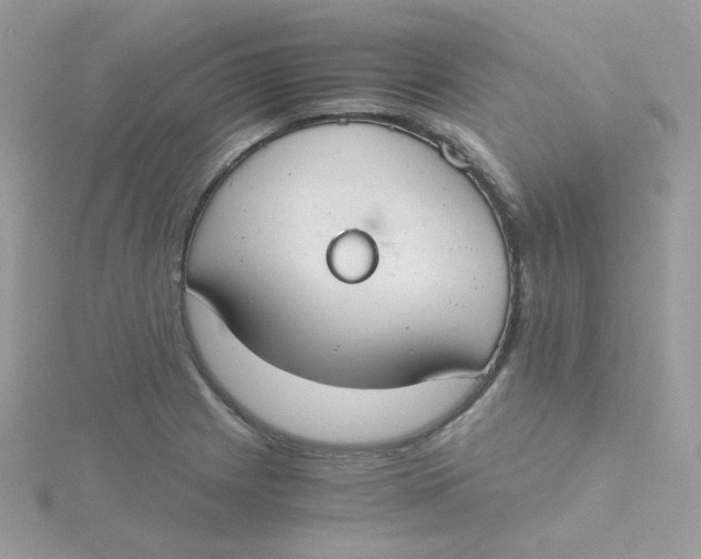 X0000115481225200911271322