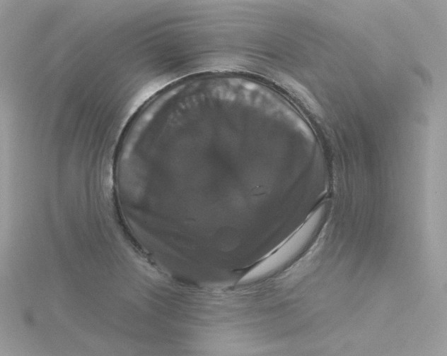 X0000115481226200911271322