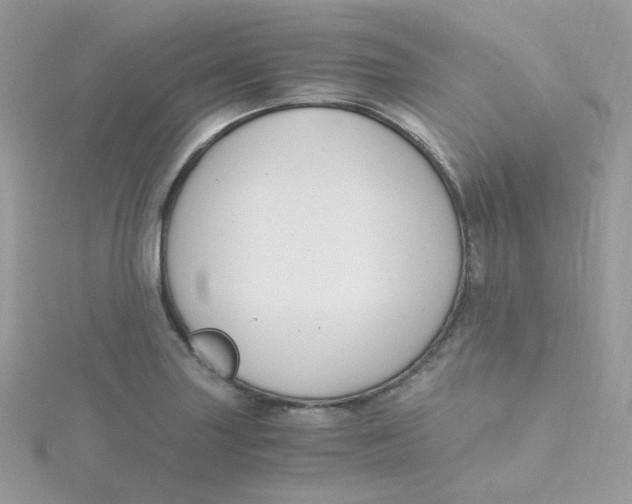 X0000115481227200911271322