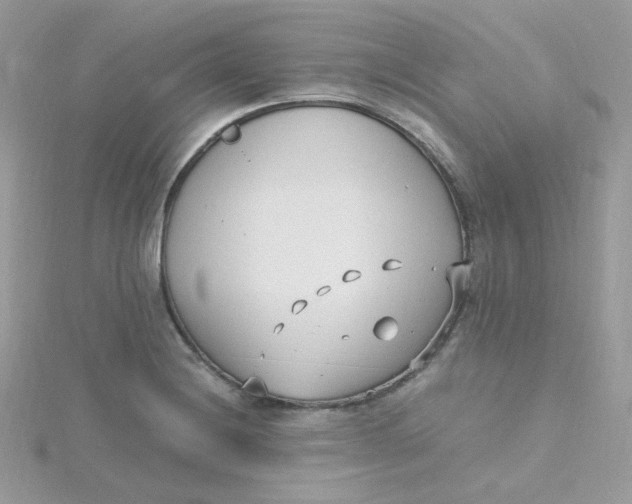 X0000115481228200911271322