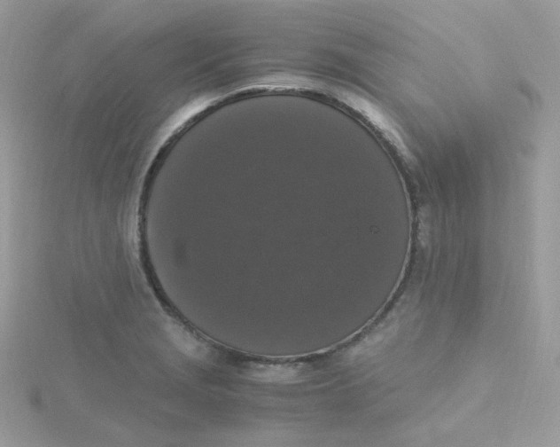 X0000115481229200911271322