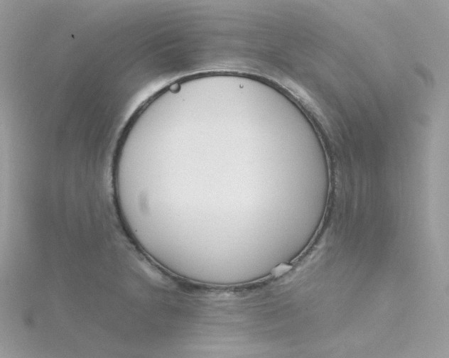 X0000115481230200911271322