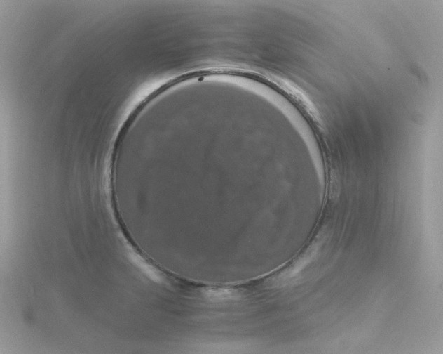 X0000115481231200911271322