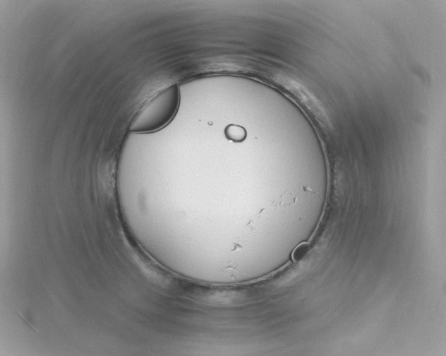 X0000115481233200911271322