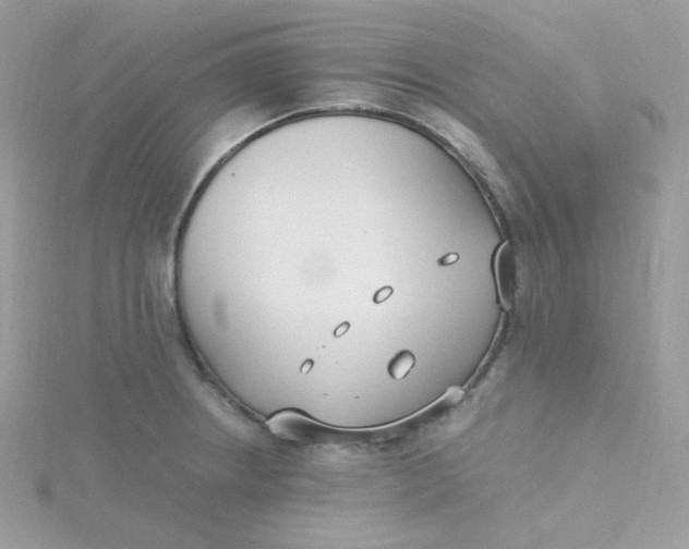 X0000115481234200911271322