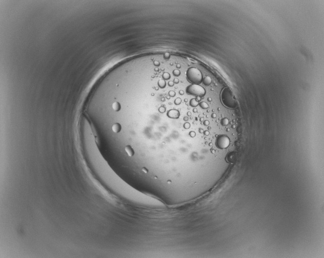 X0000115481235200911271322