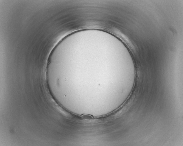 X0000115481236200911271322