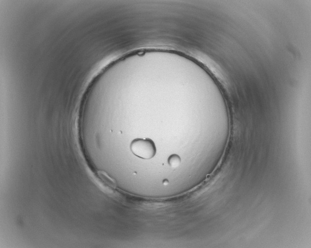 X0000115481237200911271322