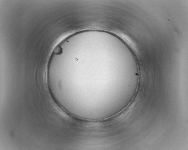 X0000115481238200911271322