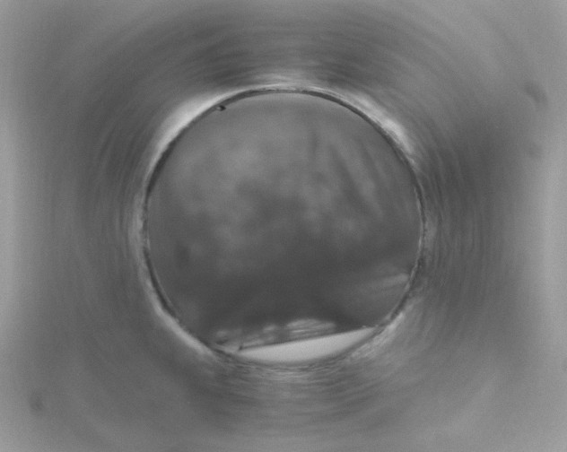 X0000115481239200911271322