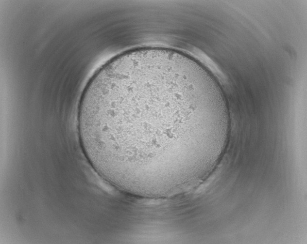 X0000115481240200911271322