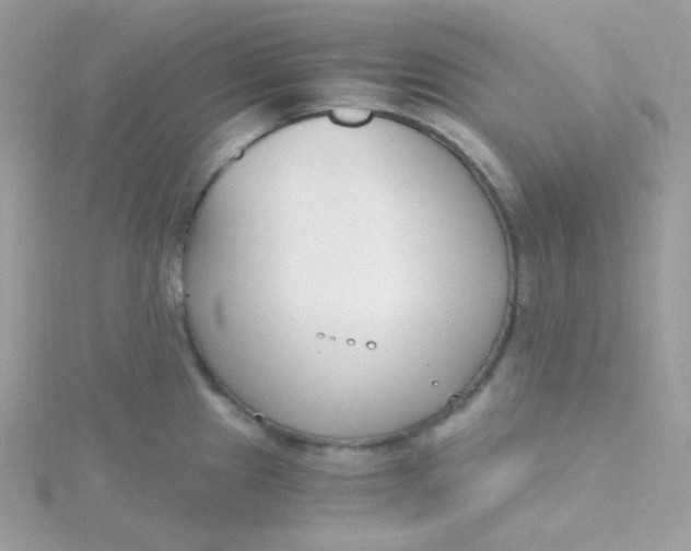 X0000115481241200911271322