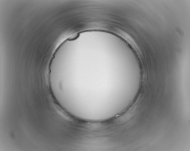 X0000115481242200911271322