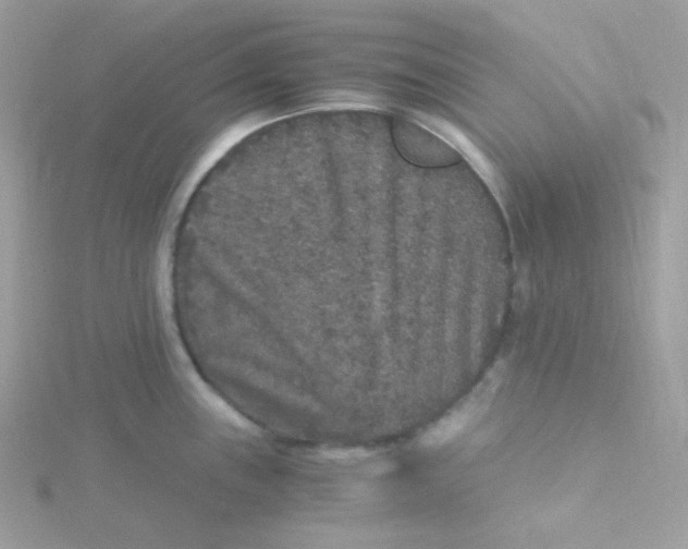 X0000115481243200911271322