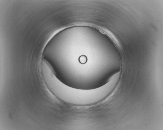 X0000115481244200911271322