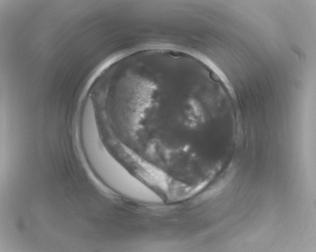 X0000115481245200911271322