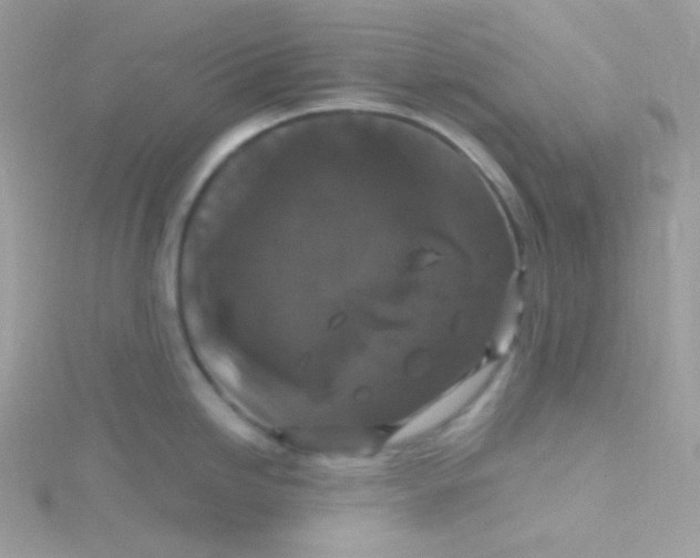 X0000115481246200911271322