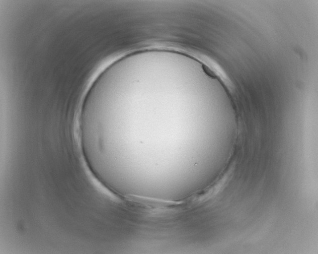 X0000115481247200911271322