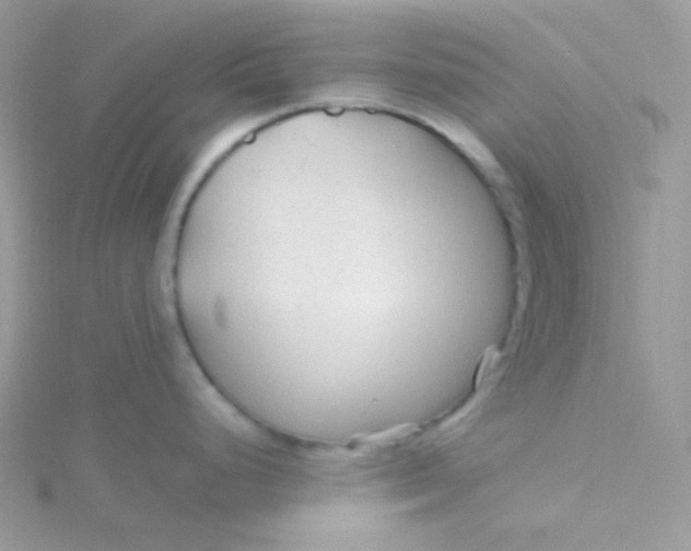 X0000115481248200911271322