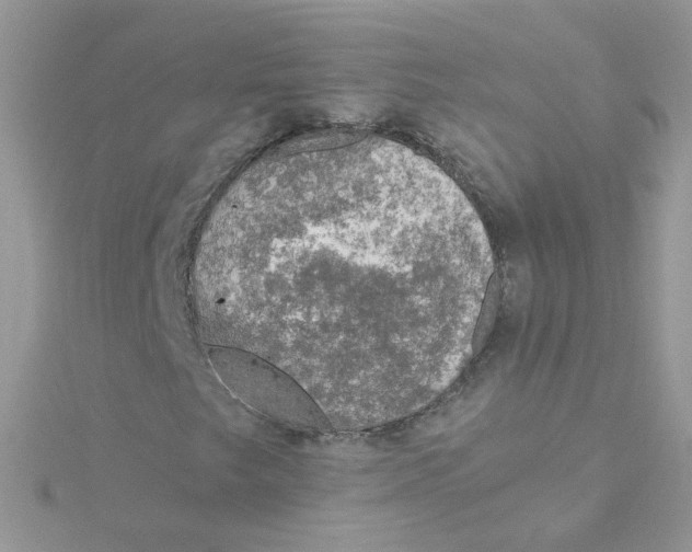 X0000115481249200911271321