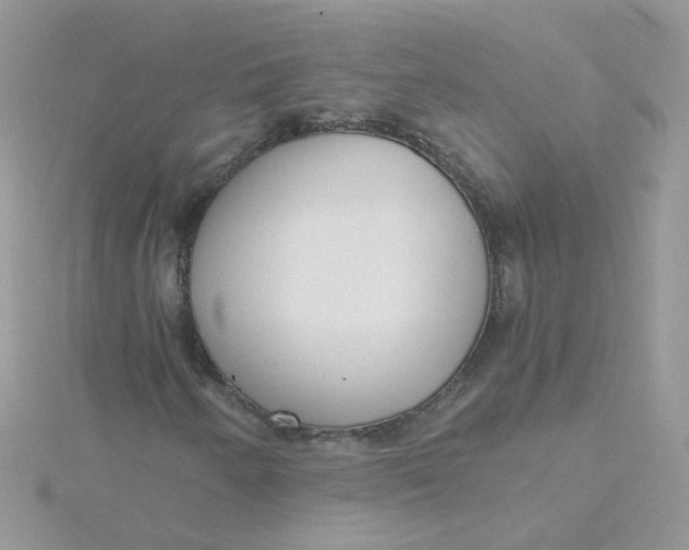 X0000115481250200911271321