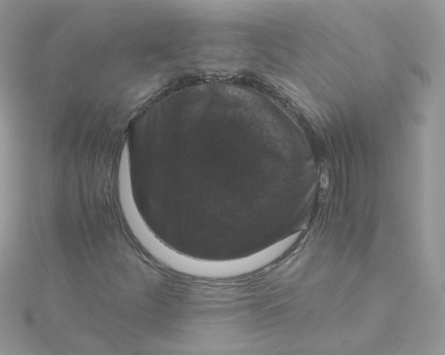 X0000115481252200911271321