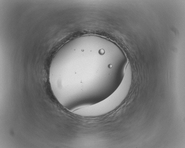 X0000115481253200911271321