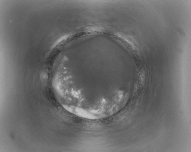 X0000115481254200911271321