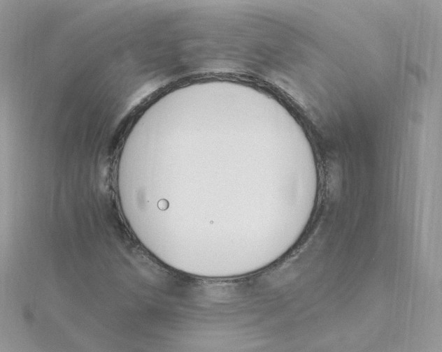 X0000115481258200911271321