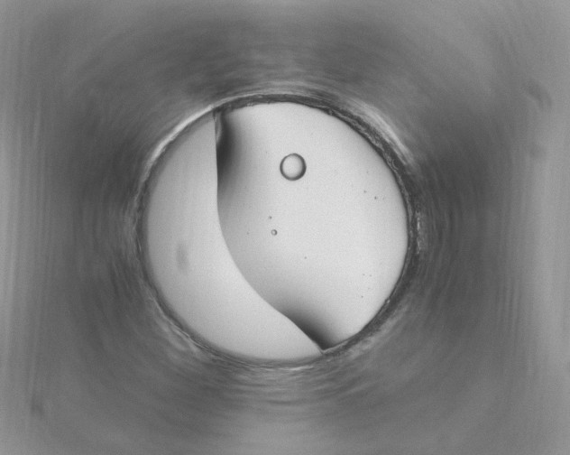 X0000115481260200911271321