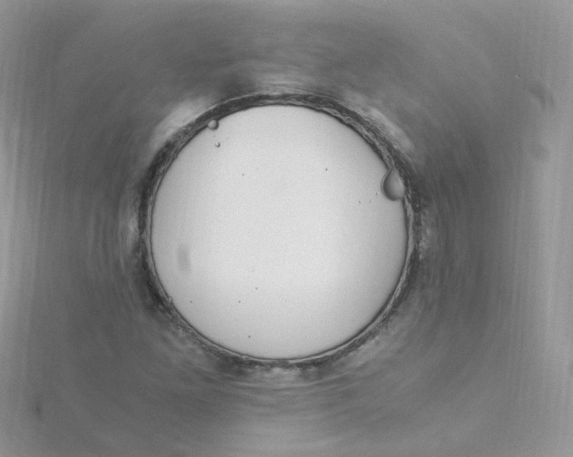 X0000115481261200911271321