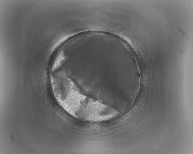 X0000115481263200911271321