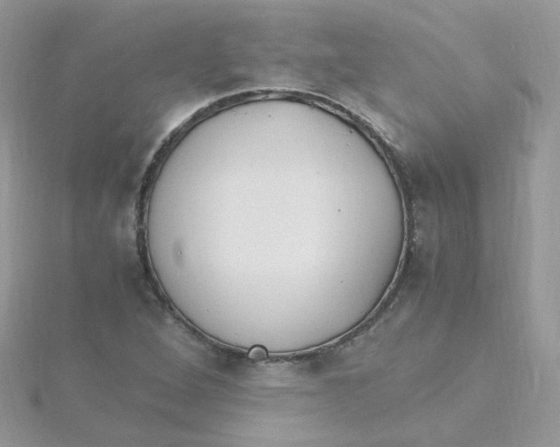 X0000115481264200911271321