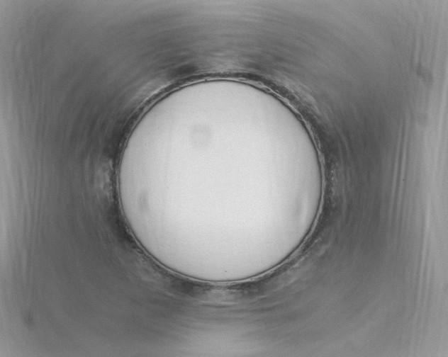 X0000115481265200911271321