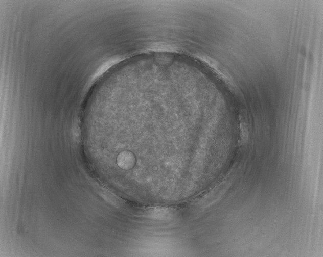 X0000115481266200911271321