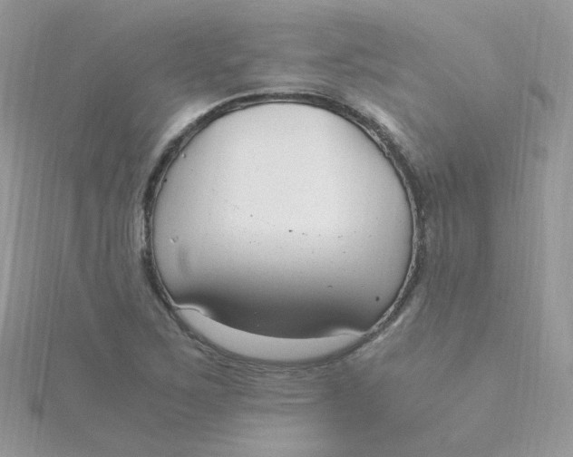 X0000115481267200911271321