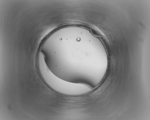 X0000115481269200911271321