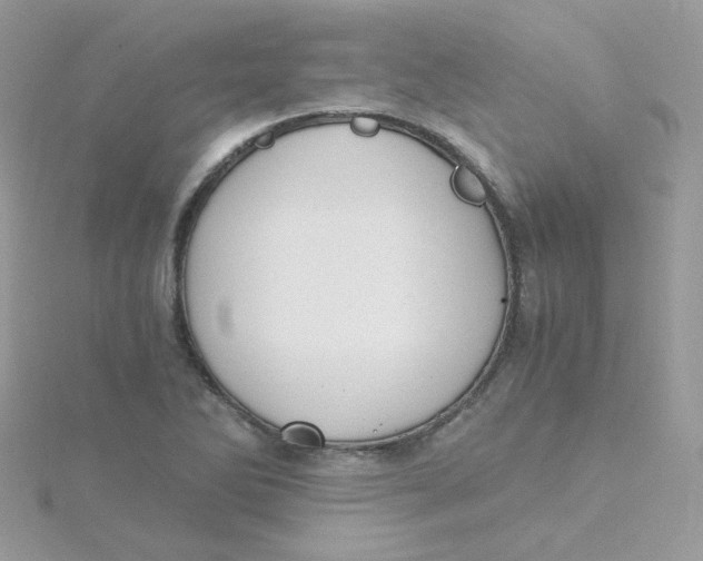 X0000115481270200911271321