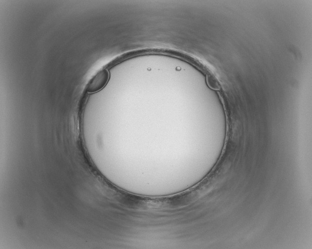 X0000115481271200911271321