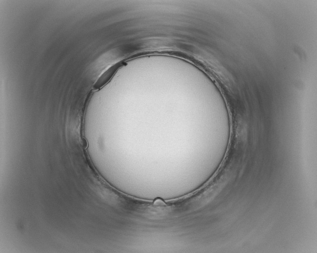 X0000115481273200911271321